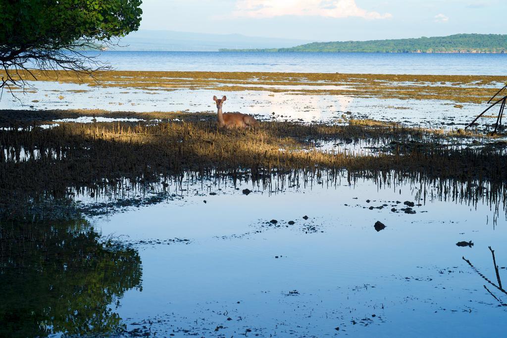 Resort Plataran Menjangan And - Chse Certified Banyuwedang